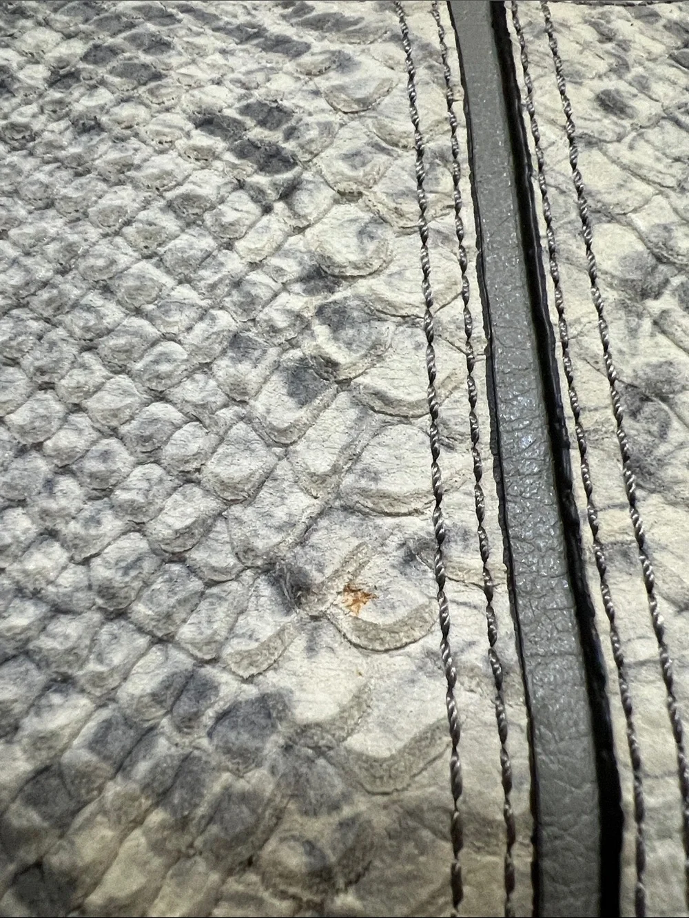 Coach 22342 Madison Pinnacle Caroline Python Embossed Satchel